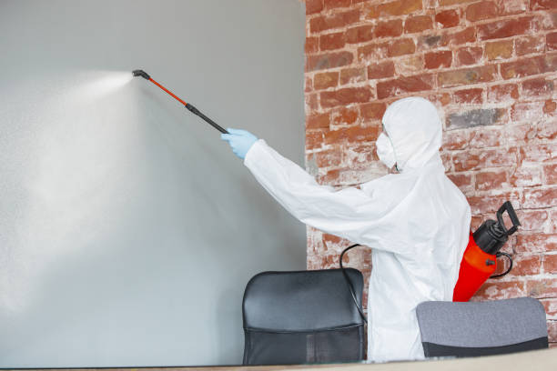 Best Residential Mold Inspection & Testing  in Golden Shores, AZ