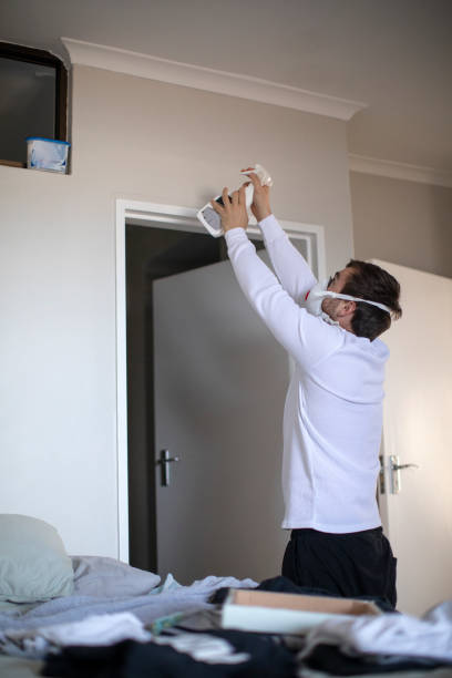 Best Mold Odor Removal Services  in Golden Shores, AZ