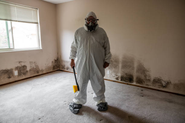 Best Industrial Mold Remediation  in Golden Shores, AZ
