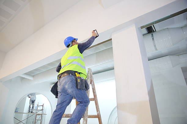Best Mold Documentation for Insurance Claims  in Golden Shores, AZ